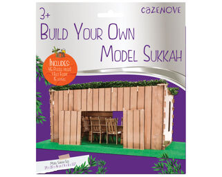 Build Your Own Sukkah