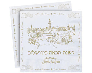 Passover Napkins