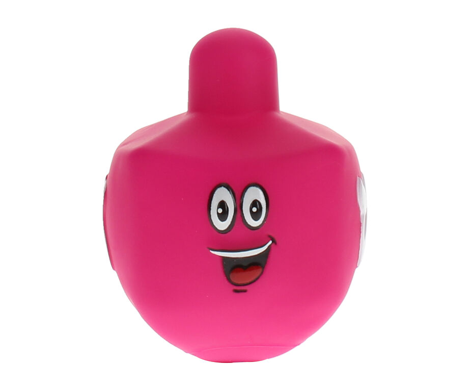 Squeaky Dog Toy