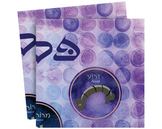 Passover Napkins