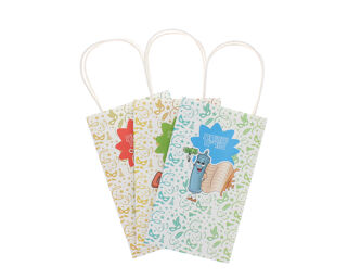 Pack of 3 Medium Paper Treat Bags