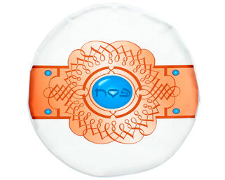 Vinyl Matzah Tash/Bag