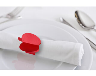 Apple Napkin Ring