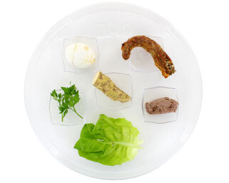 Seder Plate - Clear